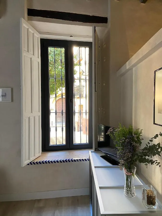 Homestay Casa Casco Historico Apartment Seville