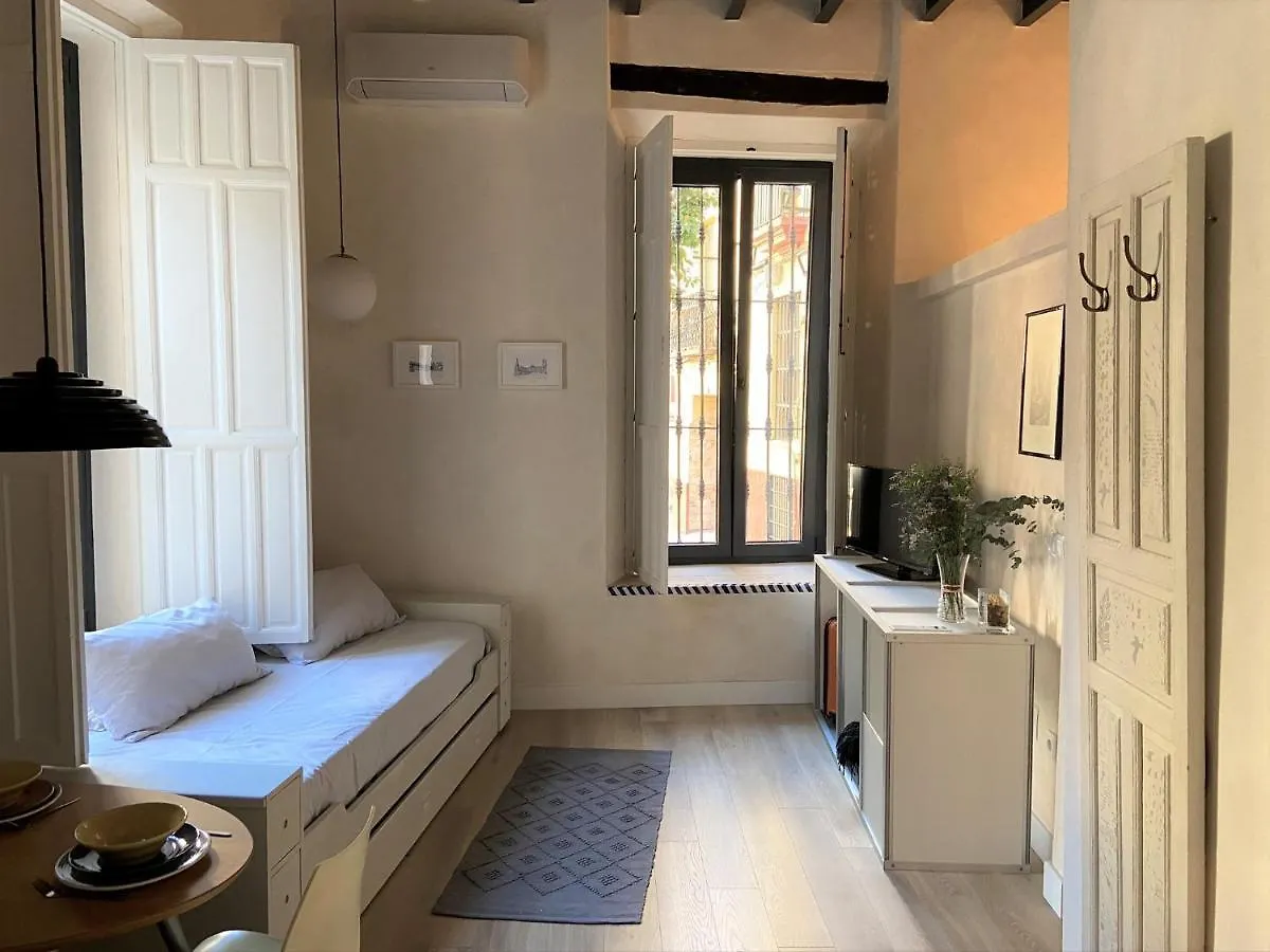 Casa Casco Historico Apartment Seville Homestay